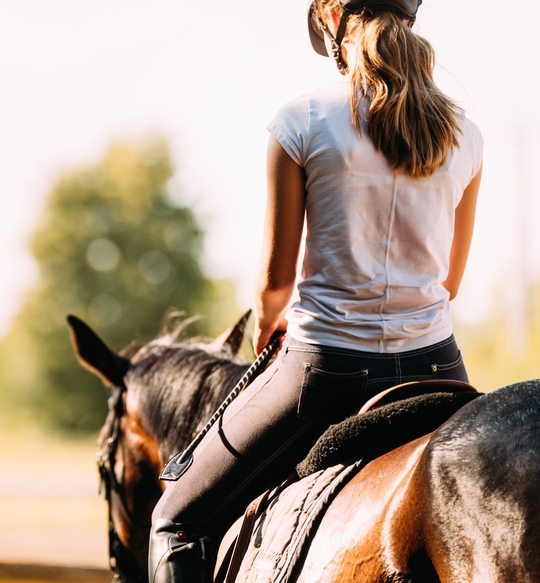 Picture,Of,Young,Pretty,Girl,Riding,Horse